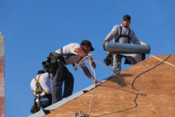 Best Roof Gutter Cleaning  in Carencro, LA